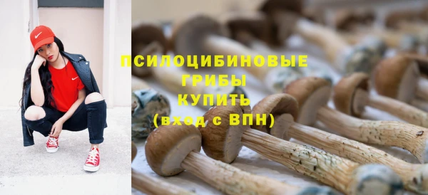 PSILOCYBIN Белокуриха