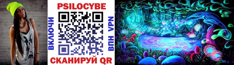 Псилоцибиновые грибы Psilocybe  цена наркотик  Высоцк 
